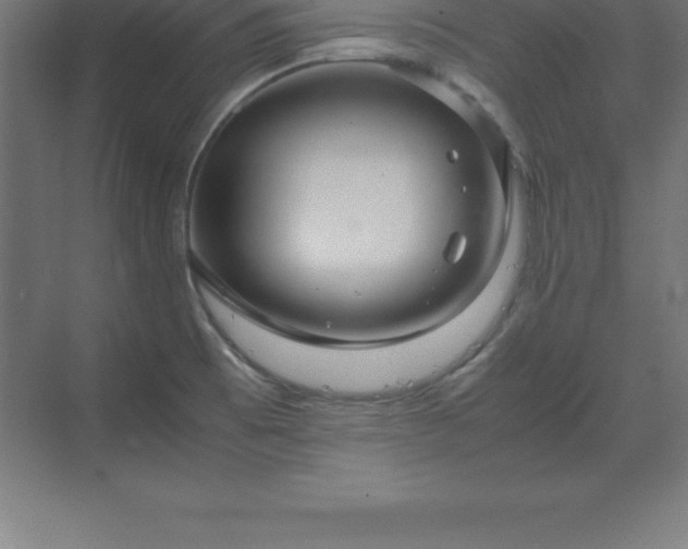 X0000070211473200606021242