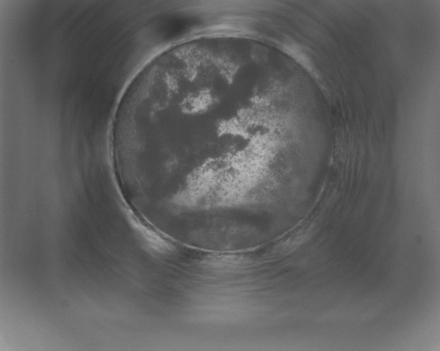 X0000070211474200606021242