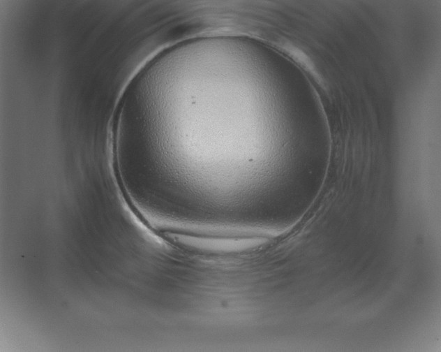 X0000070211476200606021242