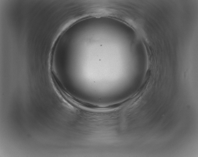 X0000070211477200606021242