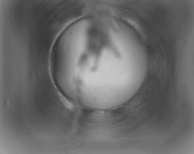 X0000070211478200606021242