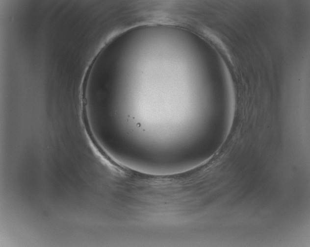 X0000070211479200606021242