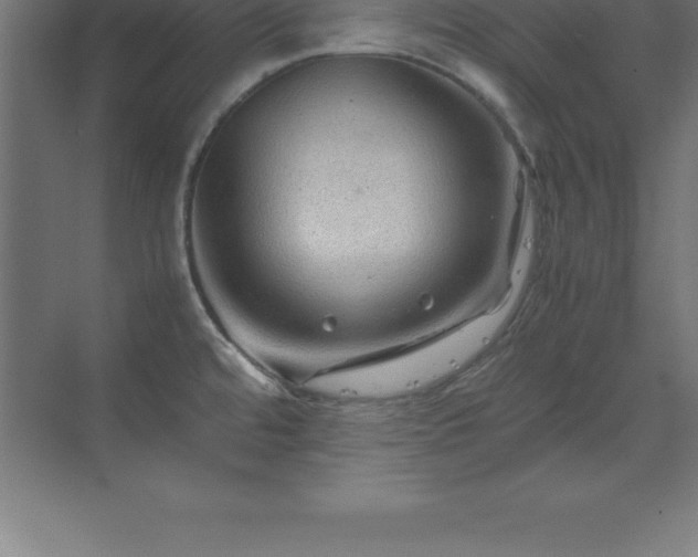 X0000070211480200606021242