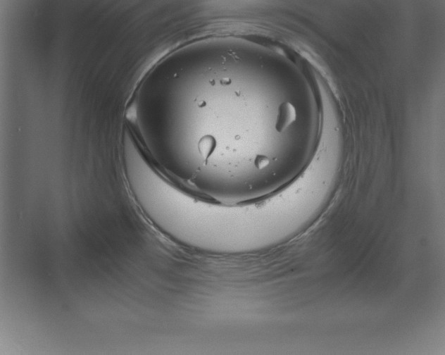 X0000070211481200606021242