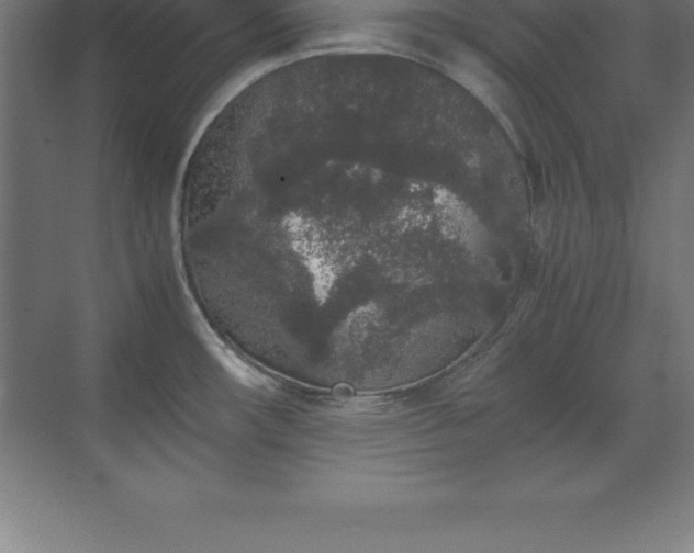 X0000070211482200606021242