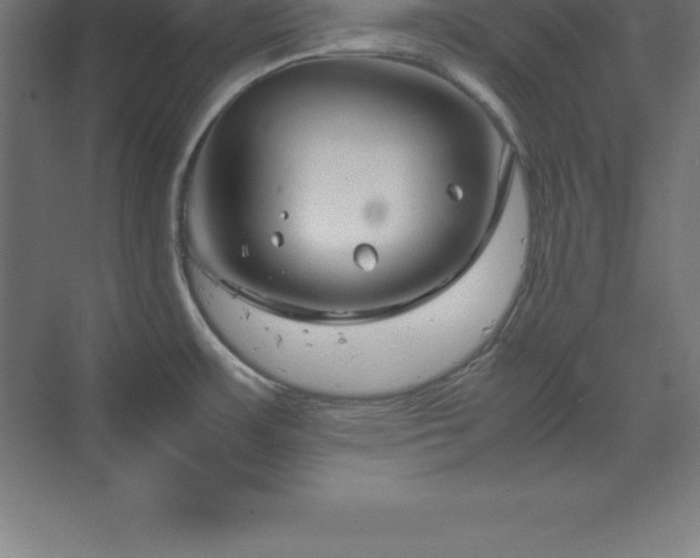 X0000070211483200606021242