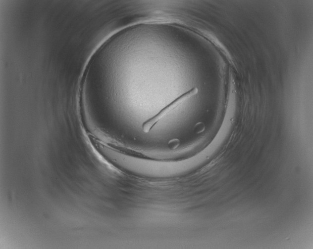 X0000070211484200606021242