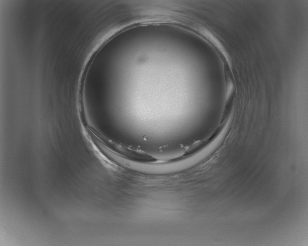 X0000070211485200606021242