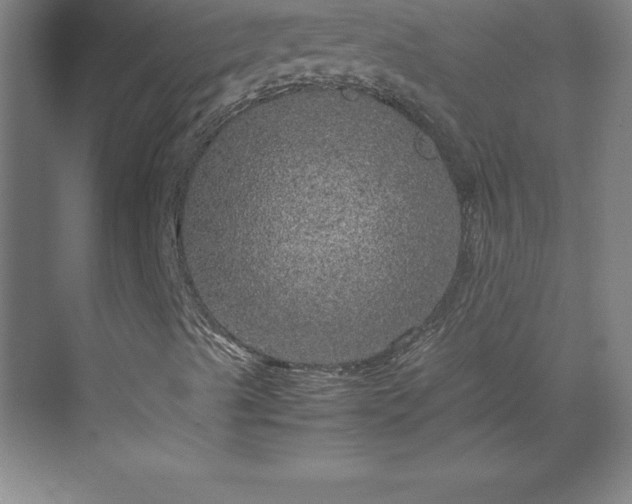 X0000070211489200606021241