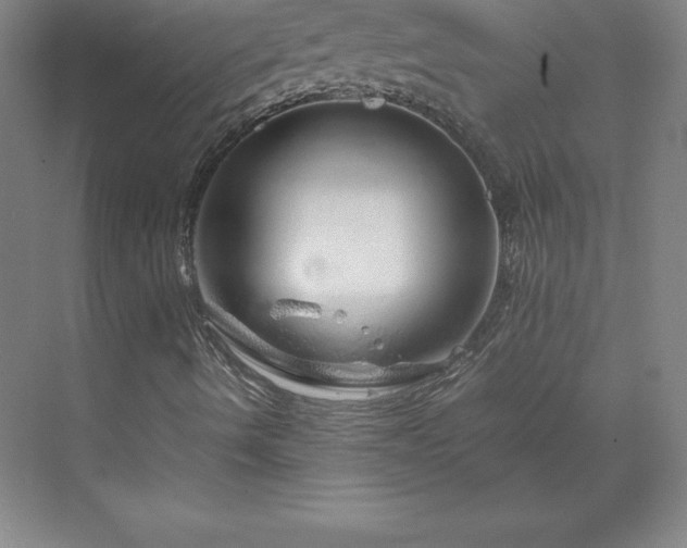 X0000070211490200606021241