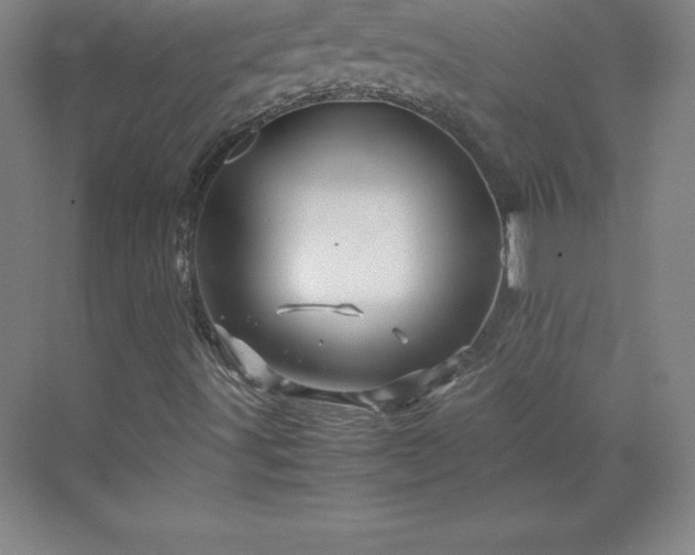 X0000070211491200606021241