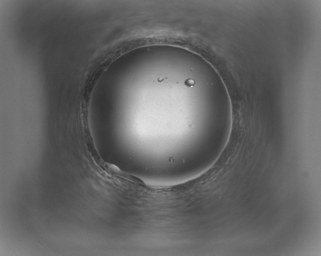 X0000070211493200606021241