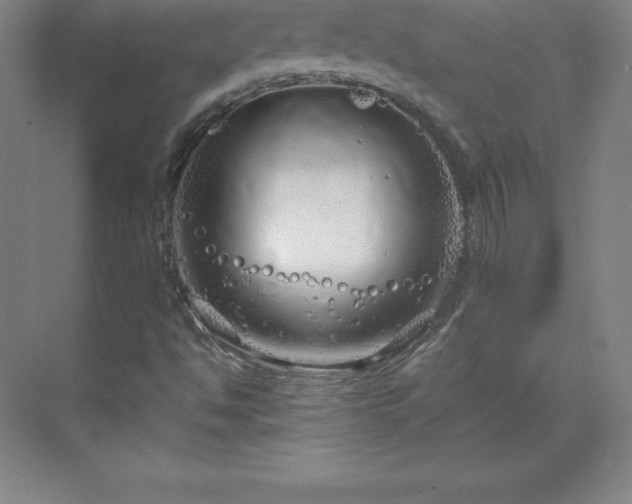 X0000070211494200606021241