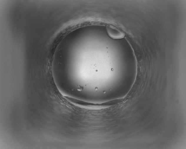 X0000070211495200606021241