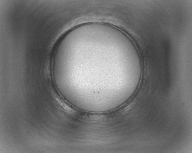 X0000070211498200606021241