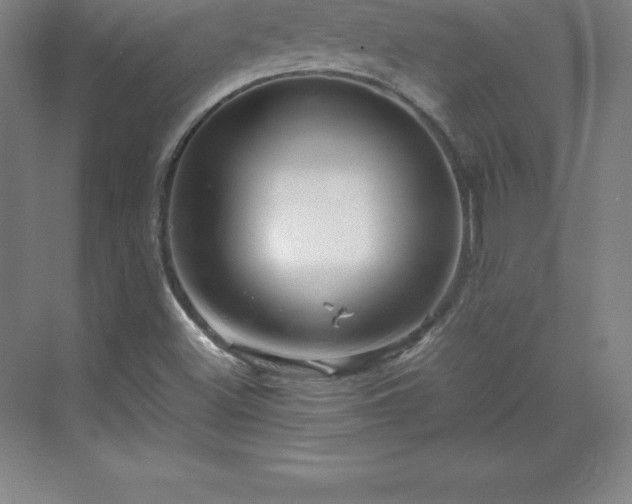 X0000070211500200606021241