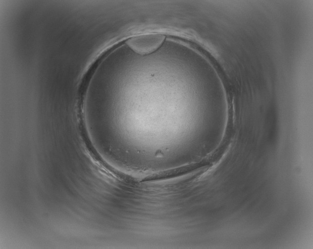 X0000070211501200606021241