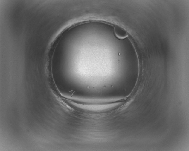 X0000070211502200606021241