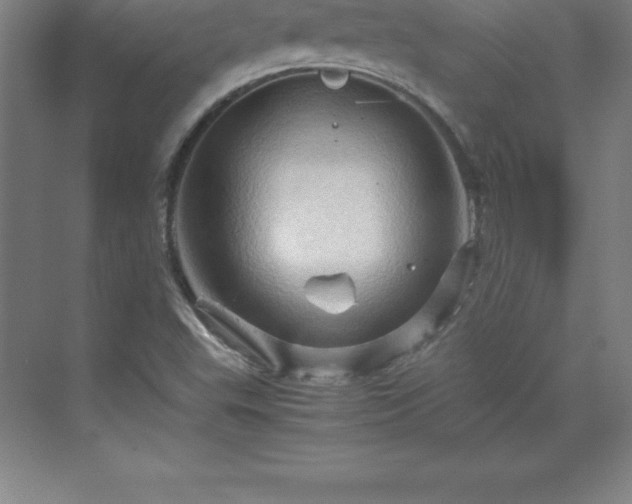 X0000070211503200606021241