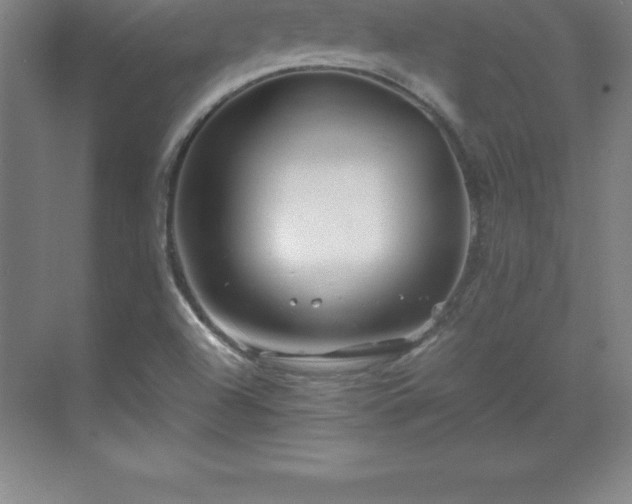 X0000070211504200606021242