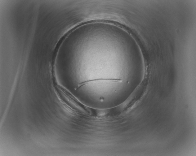 X0000070211505200606021242