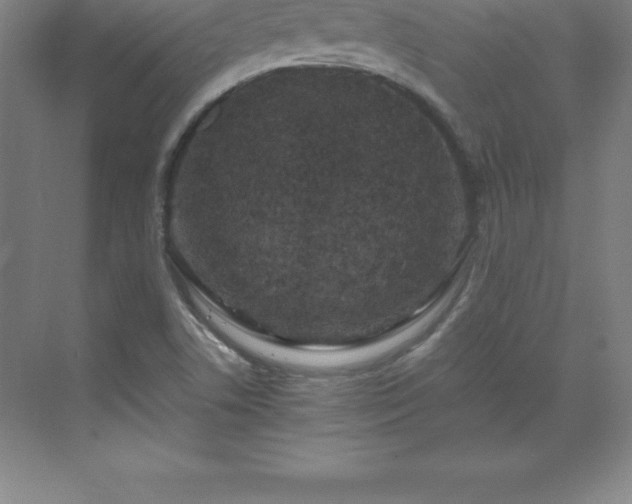 X0000070211506200606021242