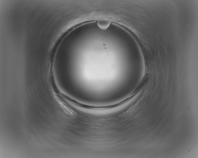 X0000070211507200606021242