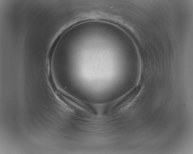 X0000070211509200606021242