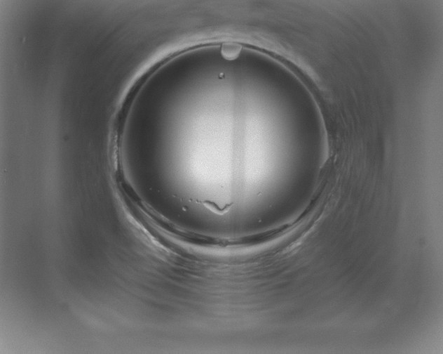 X0000070211510200606021242