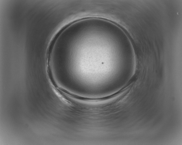 X0000070211511200606021242