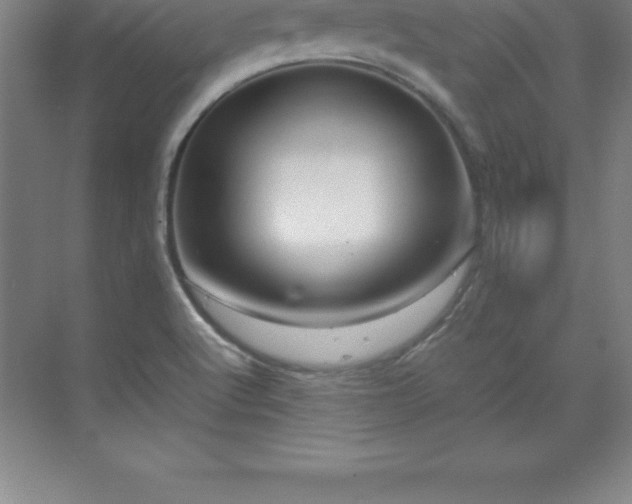 X0000070211512200606021242