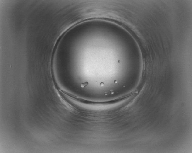 X0000070211513200606021242