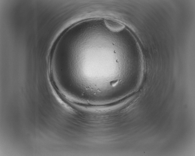 X0000070211515200606021242