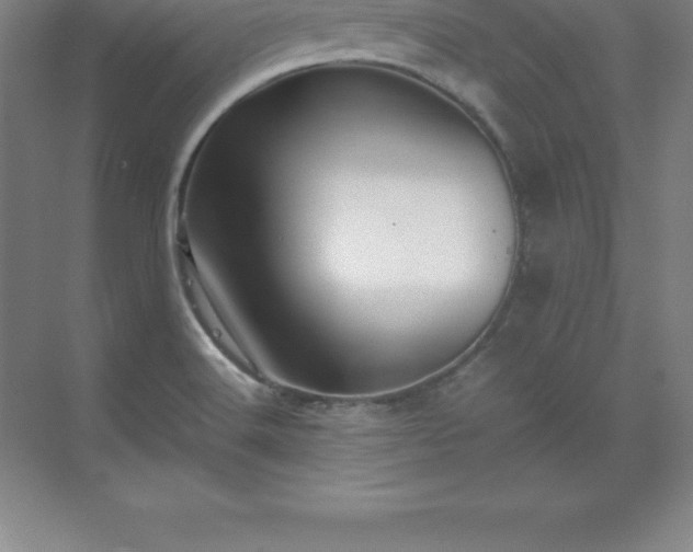 X0000070211516200606021242