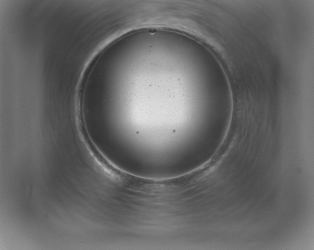 X0000070211517200606021242