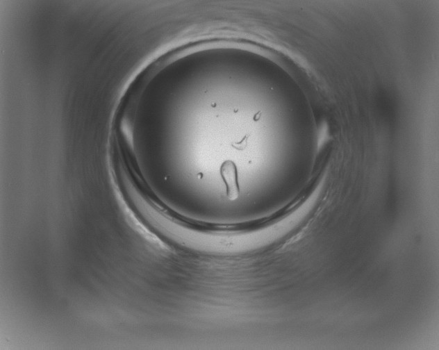 X0000070211518200606021242