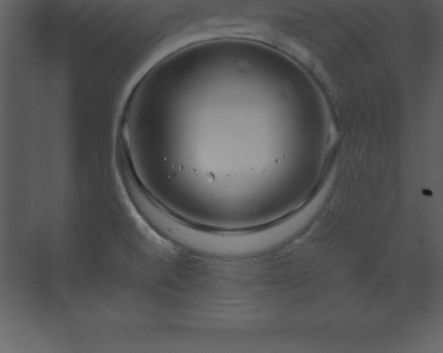 X0000070211520200606021242