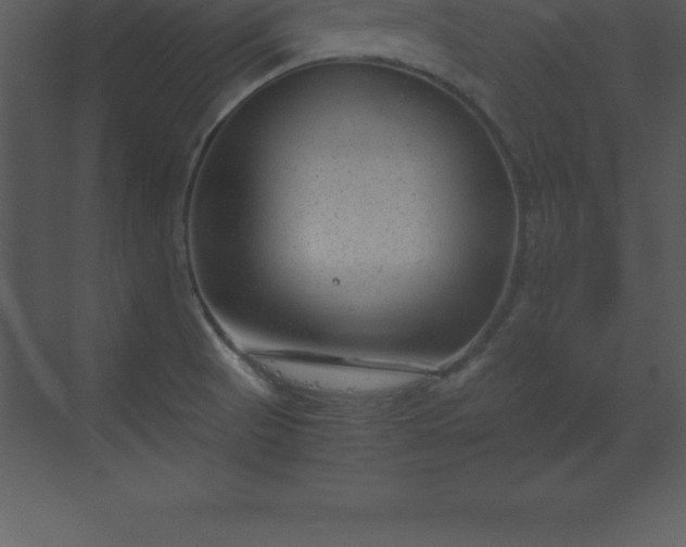 X0000070211521200606021242