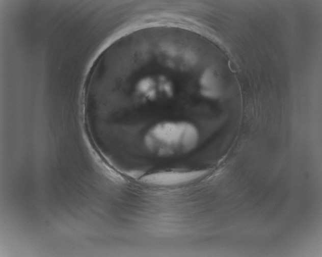 X0000070211522200606021242