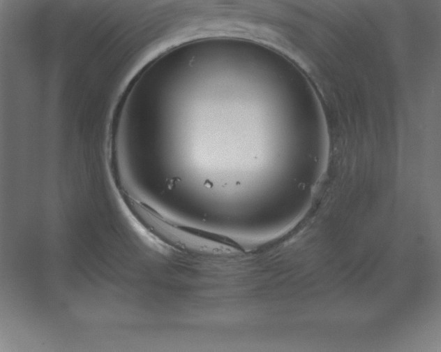 X0000070211523200606021242