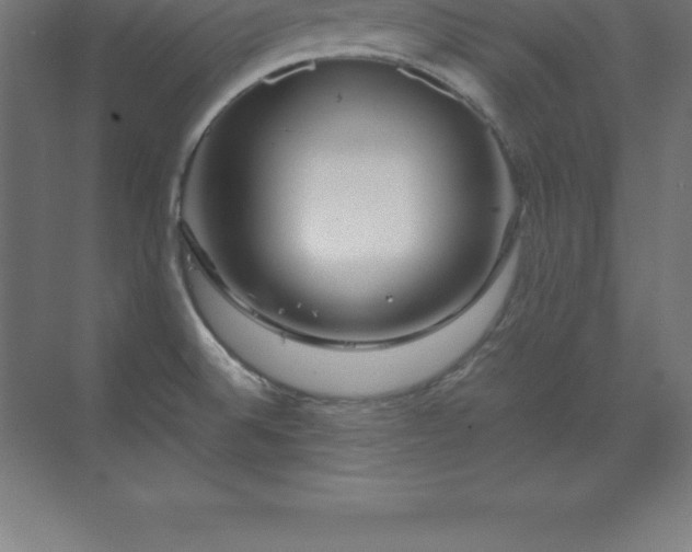 X0000070211524200606021242