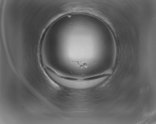 X0000070211525200606021242