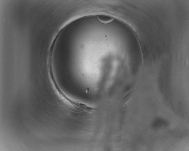 X0000070211526200606021242