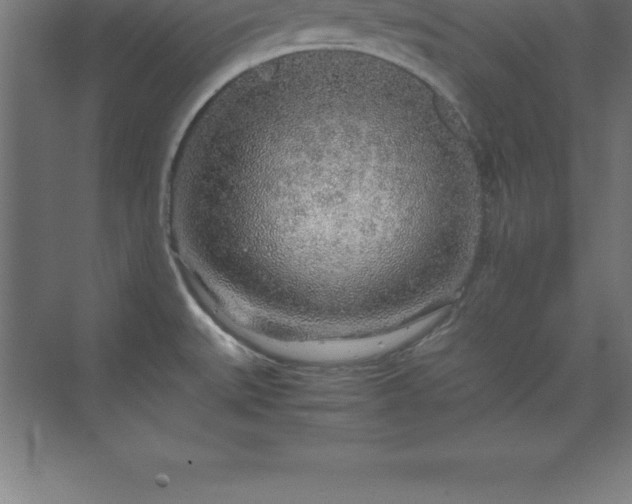 X0000070211527200606021242