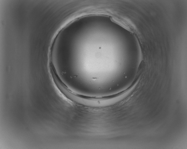 X0000070211528200606021242