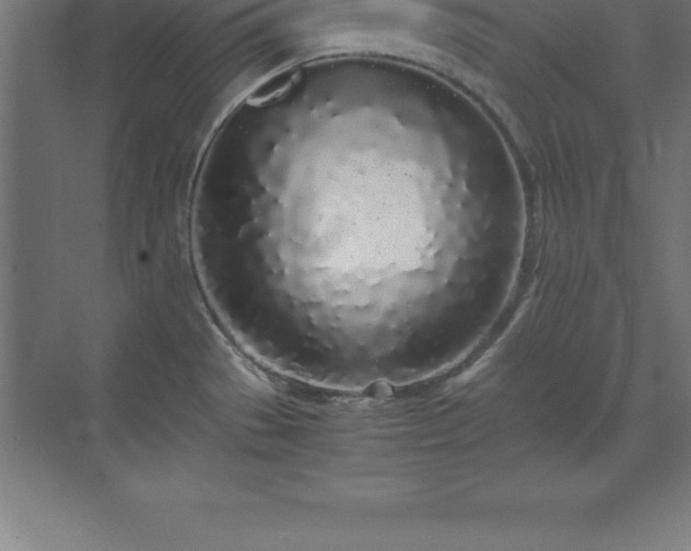 X0000070211529200606021242