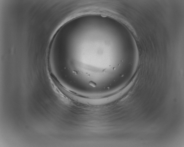 X0000070211530200606021242