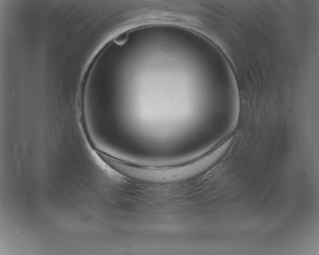 X0000070211531200606021242