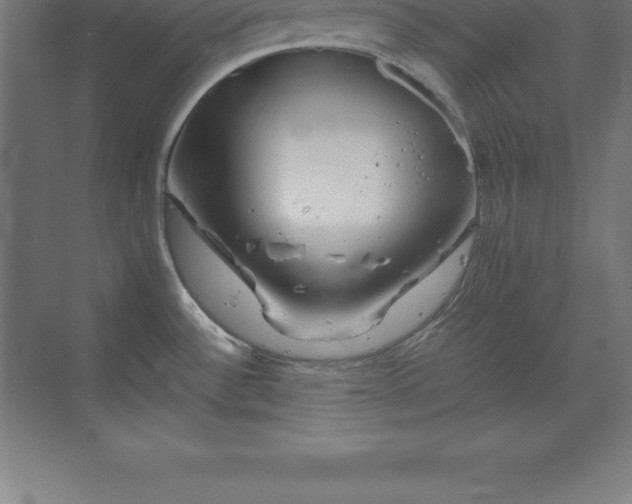 X0000070211532200606021242