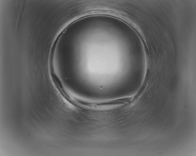 X0000070211533200606021242